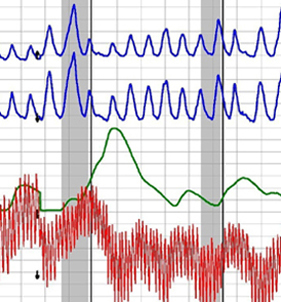 Houston lie detector testing